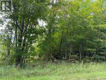 0 TWIN SISTERS LAKE ROAD | Marmora Ontario | Slide Image Sixteen