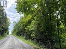 0 TWIN SISTERS LAKE ROAD | Marmora Ontario | Slide Image Four