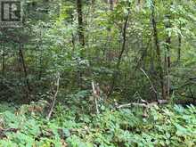 0 TWIN SISTERS LAKE ROAD | Marmora Ontario | Slide Image Five