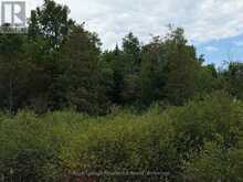 0 TWIN SISTERS LAKE ROAD | Marmora Ontario | Slide Image Eight