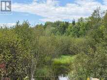 0 TWIN SISTERS LAKE ROAD | Marmora Ontario | Slide Image Nine