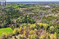 2136 SIXTEENTH LINE | North Kawartha Ontario | Slide Image Forty-three