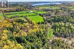 2136 SIXTEENTH LINE | North Kawartha Ontario | Slide Image Forty-four