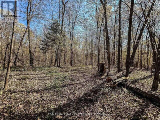 2494 HADLINGTON ROAD Highlands East Ontario, K0L 2Y0 - Vacant Land For Sale