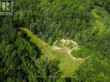 208 SKI HILL ROAD | Kawartha Lakes Ontario | Slide Image Forty-one