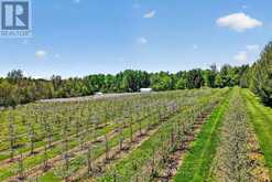 223 TURK ROAD | Alnwick-Haldimand Ontario | Slide Image Thirty-six