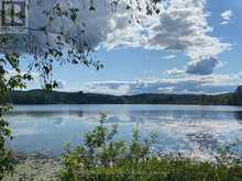 107A LAKESHORE DRIVE | Madawaska Valley Ontario | Slide Image Two