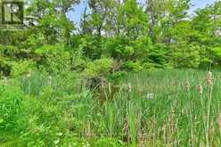 2014 FOXBORO-STIRLING ROAD | Quinte West Ontario | Slide Image Thirty-one