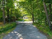 14 FIRE ROUTE 55 ROUTE | Havelock-Belmont-Methuen Ontario | Slide Image Nine