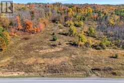 14794 HIGHWAY 62 HIGHWAY | Madoc Ontario | Slide Image Two