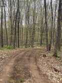 0 KENDRICK CREEK LANE | Minden Hills Ontario | Slide Image Three