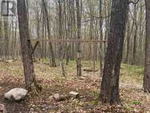 0 KENDRICK CREEK LANE | Minden Hills Ontario | Slide Image Four