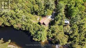 85 NEVISON DRIVE | Coboconk Ontario | Slide Image Thirty-three