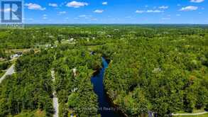 85 NEVISON DRIVE | Coboconk Ontario | Slide Image Thirty-five