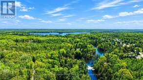 85 NEVISON DRIVE | Coboconk Ontario | Slide Image Thirty-six