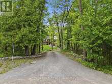 166 MAPLE ROAD | Marmora Ontario | Slide Image One