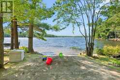 128 C SHELDRAKE LAKE ROAD | Addington Highlands Ontario | Slide Image Seventeen
