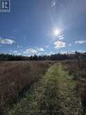 3783 MONCK ROAD | Coboconk Ontario | Slide Image Thirty-three