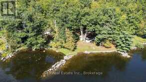 2875 PEARSON LANE | North Kawartha Ontario | Slide Image Forty