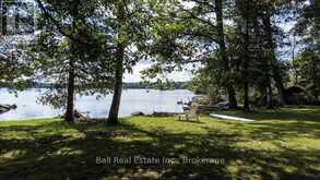 2875 PEARSON LANE | North Kawartha Ontario | Slide Image Five