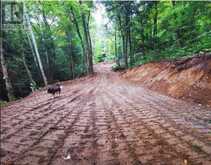 1756 CHANDLER DRIVE | Haliburton Ontario | Slide Image Thirteen