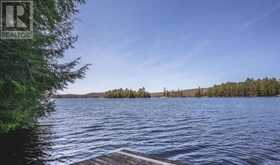 1756 CHANDLER DRIVE | Haliburton Ontario | Slide Image Four