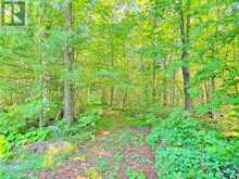 858 MILL ROAD | Madoc Ontario | Slide Image Forty