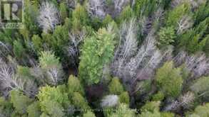 0 CRYSTAL LAKE ROAD | Kawartha Lakes Ontario | Slide Image Fifteen