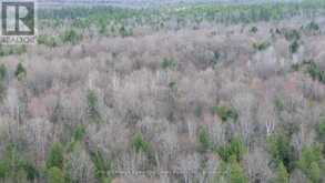 0 CRYSTAL LAKE ROAD | Kawartha Lakes Ontario | Slide Image Sixteen