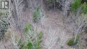 0 CRYSTAL LAKE ROAD | Kawartha Lakes Ontario | Slide Image Seventeen