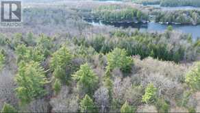0 CRYSTAL LAKE ROAD | Kawartha Lakes Ontario | Slide Image Nineteen