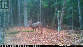 0 CRYSTAL LAKE ROAD | Kawartha Lakes Ontario | Slide Image Three