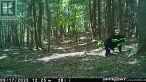0 CRYSTAL LAKE ROAD | Kawartha Lakes Ontario | Slide Image Seven