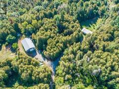 244 DUTCH LINE ROAD W Kawartha Lakes Ontario, K0M 2A0