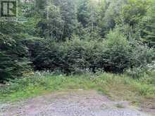 0 ALBION LAKE DRIVE | Bancroft Ontario | Slide Image Ten