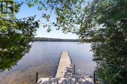 1022 MULBERRY LANE | Minden Hills Ontario | Slide Image Nine