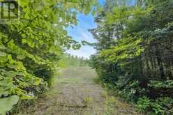 274 HIGHWAY 35 | Kawartha Lakes Ontario | Slide Image Thirty