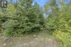 274 HIGHWAY 35 | Kawartha Lakes Ontario | Slide Image Thirty-one