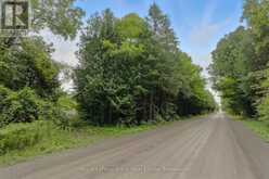 274 HIGHWAY 35 | Kawartha Lakes Ontario | Slide Image Thirty-two