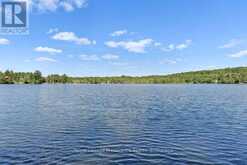 5 WATER - GUNTER LAKE | Tudor and Cashel Ontario | Slide Image Thirty-seven