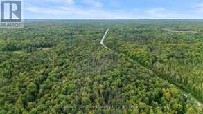 456 COUNTY ROAD 620 | Apsley Ontario | Slide Image Ten