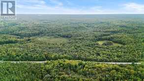 456 COUNTY ROAD 620 | Apsley Ontario | Slide Image Six
