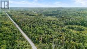 456 COUNTY ROAD 620 | Apsley Ontario | Slide Image Seven