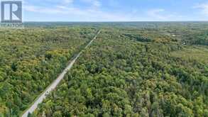 456 COUNTY ROAD 620 | Apsley Ontario | Slide Image Nine