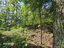 PT LT 17-18 COUNTY ROAD 507 | North Kawartha Ontario | Slide Image One