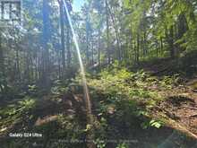 PT LT 17-18 COUNTY ROAD 507 | North Kawartha Ontario | Slide Image Two