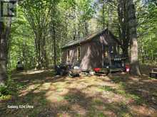 PT LT 17-18 COUNTY ROAD 507 | North Kawartha Ontario | Slide Image Three
