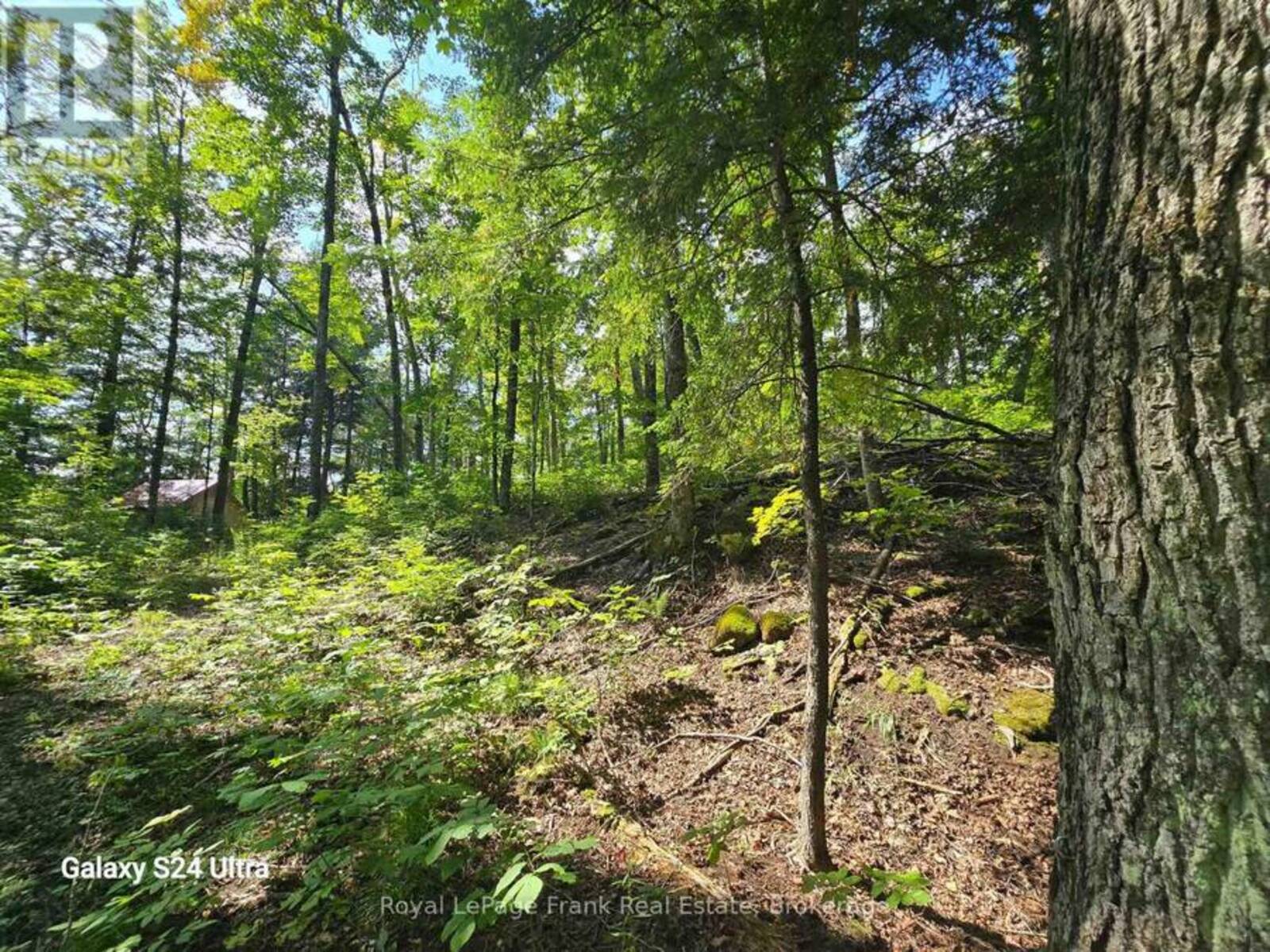 PT LT 17-18 COUNTY ROAD 507, North Kawartha, Ontario K0L 1J0