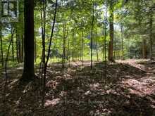 PT LT 15 CON 13 ALTON LANE | Minden Hills Ontario | Slide Image One