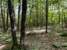 PT LT 15 CON 13 ALTON LANE | Minden Hills Ontario | Slide Image Six